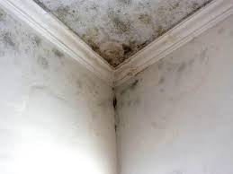 Why you should choose our mold remedi tion services in #city