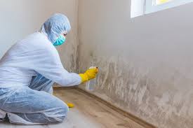 Best Mold Removal for HVAC Installations  in Oregon, OH