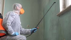 Best Emergency Mold Remediation  in Oregon, OH