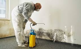 Best Mold Removal for HVAC Installations  in Oregon, OH