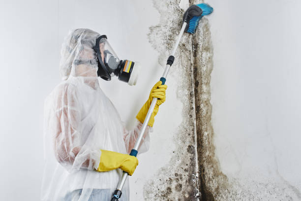 Best Mold Remediation for Healthcare Facilities  in Oregon, OH