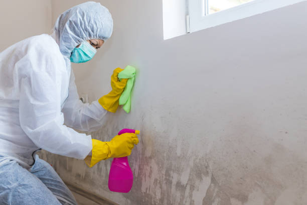 Best Real Estate Mold Inspection  in Oregon, OH